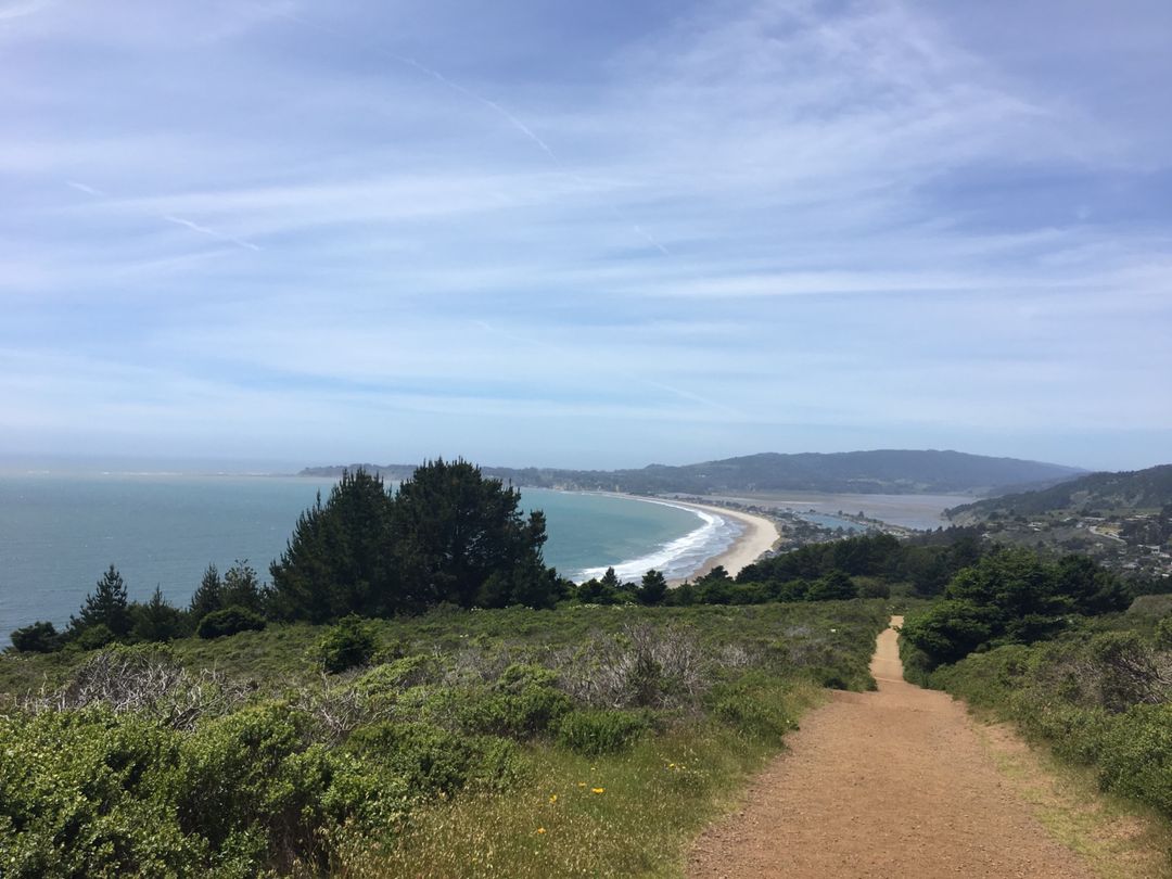 Dipsea Trail Mill Valley travelstoke
