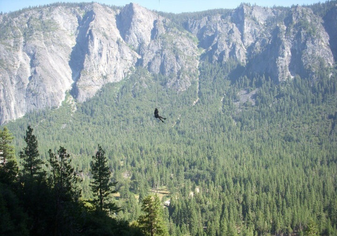 The Swing Yosemite Valley travelstoke