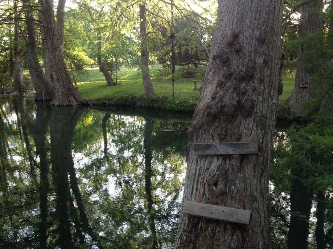 Blue Hole Regional Park Wimberley travelstoke