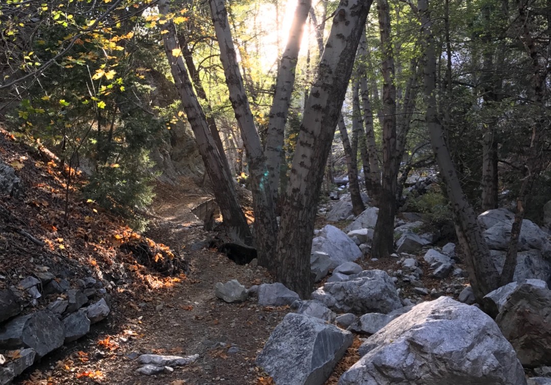 Icehouse Canyon Trailhead | Wrightwood - travelstoke